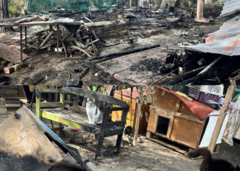 Quartucciu, un incendio distrugge un rifugio per gattini: “Aiutateci, sono i nostri figli”