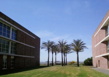 Tiscali, via 180 dipendenti: duro colpo per Cagliari