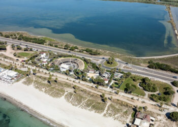 Presentato il Piano del Parco di Molentargius: tutela e sviluppo di uno dei sistemi umidi più importanti del Mediterraneo