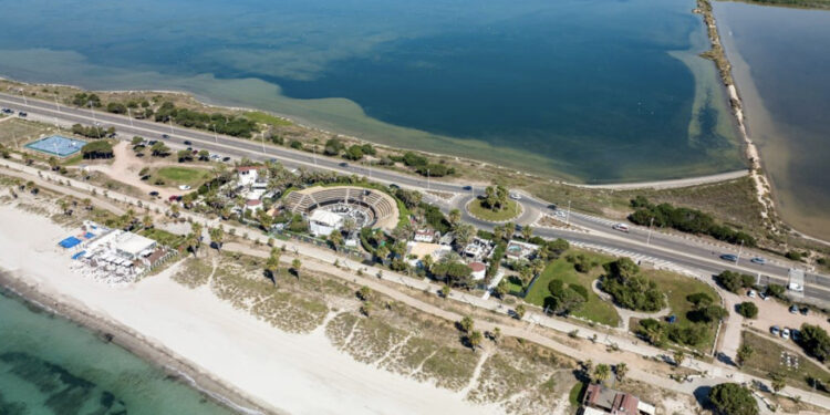 Presentato il Piano del Parco di Molentargius: tutela e sviluppo di uno dei sistemi umidi più importanti del Mediterraneo