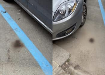 Cagliari, in via Roma il gabinetto a cielo aperto è tra le auto in sosta: “Le istituzioni prendano provvedimenti”