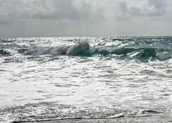 Odissea per un gruppo di sardi che avrebbe dovuto imbarcarsi per Civitavecchia: causa maltempo la Grimaldi non parte, Tirrenia sì