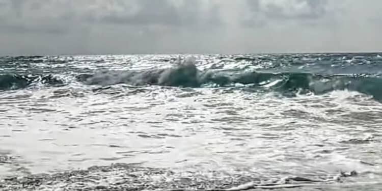 Odissea per un gruppo di sardi che avrebbe dovuto imbarcarsi per Civitavecchia: causa maltempo la Grimaldi non parte, Tirrenia sì