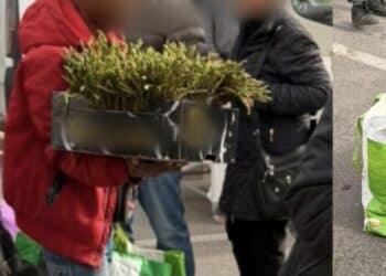 Ambulanti abusivi al mercatino rionale di Quartu, i venditori di asparagi dividono il web