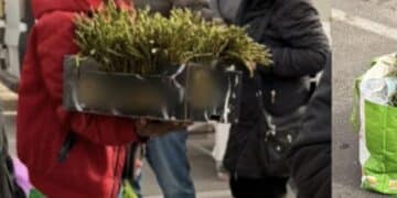 Ambulanti abusivi al mercatino rionale di Quartu, i venditori di asparagi dividono il web