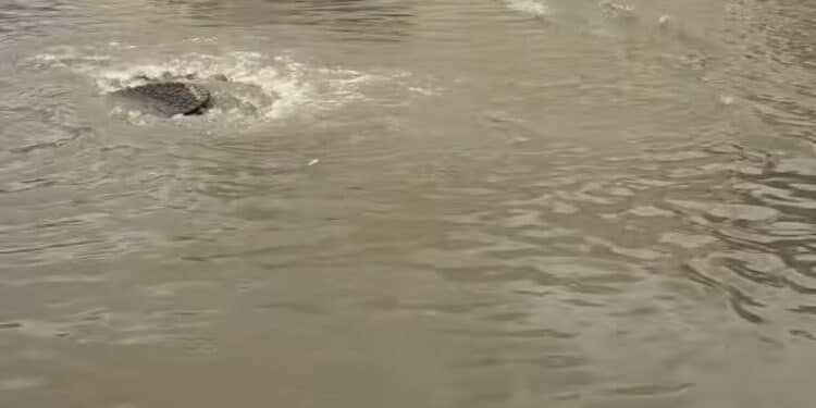 Pirri, dopo il diluvio strade allagate e tombini saltati: “La situazione è grave”