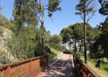 Cagliari, già chiusa la pista ciclo-pedonale di Monte Claro: il maltempo ha fatto crollare dei rami