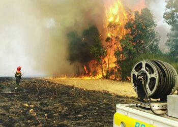 Capoterra, al via i preparativi per la prossima e imminente campagna antincendi: ecco tutte le novità di quest’anno