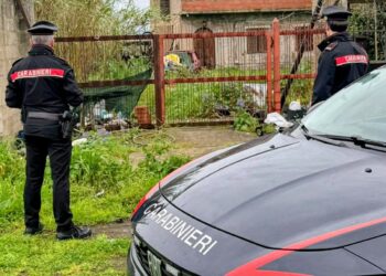 Pabillonis, spunta una maxi discarica abusiva: 45enne denunciato per gestione illecita di rifiuti