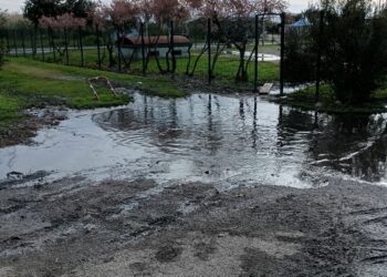Quartu, disagi vicino alla scuola di ciclismo: “Sversamenti dal CUS, il Comune interviene e sollecita lo spurgo”