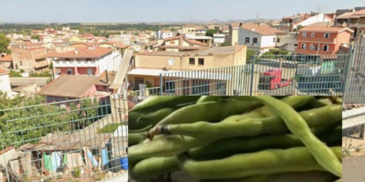 Monastir, campo di fave in paese: scatta la protesta dei residenti