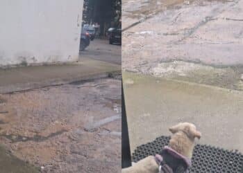 Cagliari, a Sant’Elia esplodono le fogne: residenti costretti a saltare tra liquami maleodoranti -VIDEO