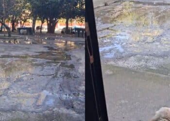 Cagliari, fogne a cielo aperto e rimpallo di responsabilità