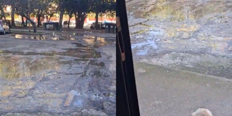 Cagliari, fogne a cielo aperto e rimpallo di responsabilità