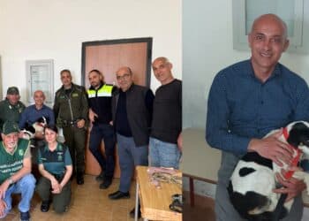 Teulada, la cagnolina abbandonata è al sicuro: le prime immagini in braccio ai suoi salvatori