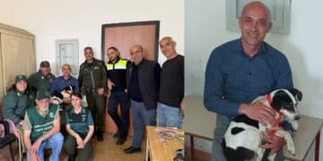 Teulada, la cagnolina abbandonata è al sicuro: le prime immagini in braccio ai suoi salvatori