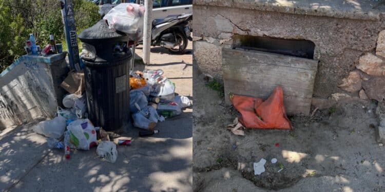 Calamosca, i cestini sono inadeguati e i rifiuti vengono abbandonati a terra