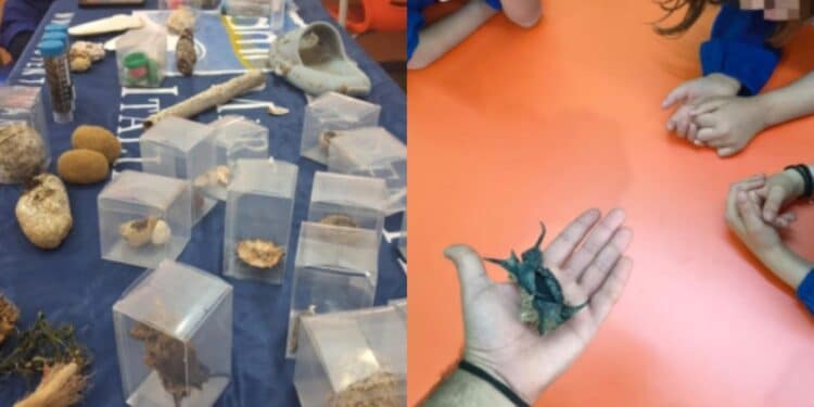 Medio Campidano, la spiaggia entra in aula per una lezione di educazione ambientale