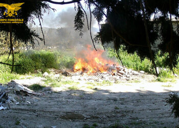 Combustione illecita di rifiuti a Maracalagonis: sequestrati un terreno e un autocarro, 2 persone denunciate