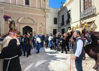 Cagliari, benedetti i buoi del cocchio Sant’Efisio: ecco come si chiamano