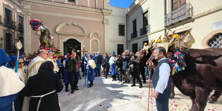 Cagliari, benedetti i buoi del cocchio Sant’Efisio: ecco come si chiamano