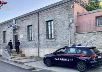 Uccide col veleno 3 gatti della vicina, spara diversi colpi e imbratta l’abitazione: arrestato in Sardegna