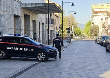 Spaccio di droga in un bar a Olbia, i carabinieri sospendono l’attività