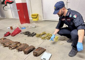 Scoperto materiale esplosivo in un terreno a Telti, intervento degli artificieri