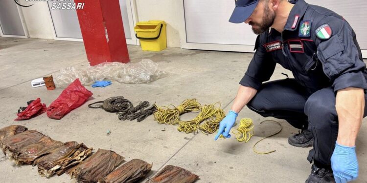 Scoperto materiale esplosivo in un terreno a Telti, intervento degli artificieri