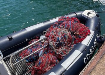Quartu, i carabinieri subacquei rimuovono tre chilometri di reti abusive al Margine Rosso