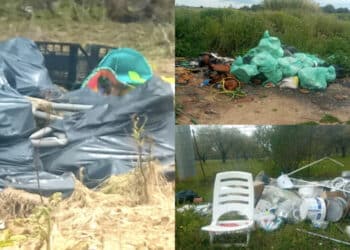 Discarica a cielo aperto a Magangiosa: degrado davanti a un uliveto secolare di 45 ettari (VIDEO)