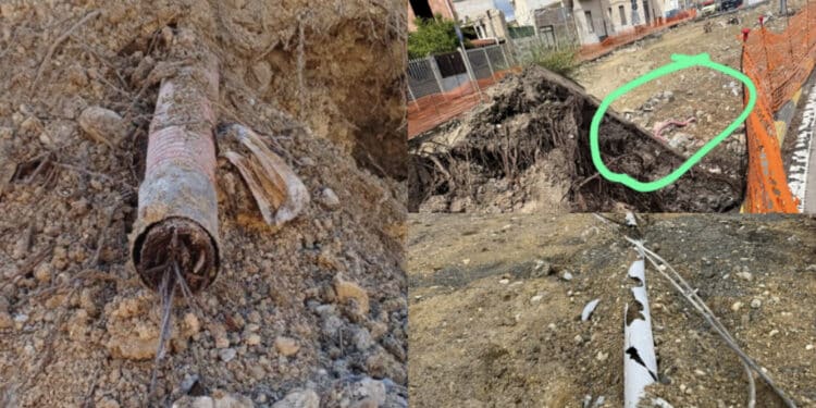Monserrato, sottoservizi rovinati dalle radici dei pini: compromessi anche rivestimenti e tubazioni