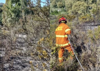 Quartu, primo incendio boschivo della stagione: un ettaro divorato dalle fiamme nel villaggio delle Rose