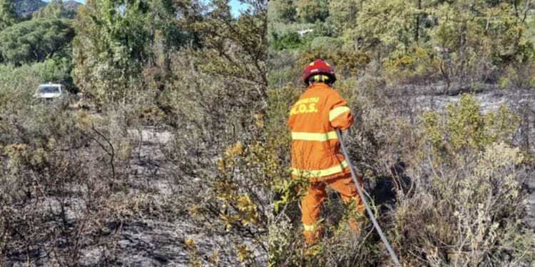 Quartu, primo incendio boschivo della stagione: un ettaro divorato dalle fiamme nel villaggio delle Rose