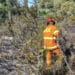 Quartu, primo incendio boschivo della stagione: un ettaro divorato dalle fiamme nel villaggio delle Rose