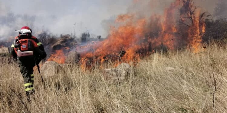 Flotta Canadair, la Laconi scrive al Ministro dell’Interno: “Garantire la copertura aerea della Sardegna”