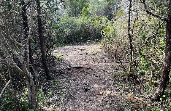 Loiri Porto S. Paolo, a Cala Finanza “la speculazione immobiliare inizia con il taglio della vegetazione”