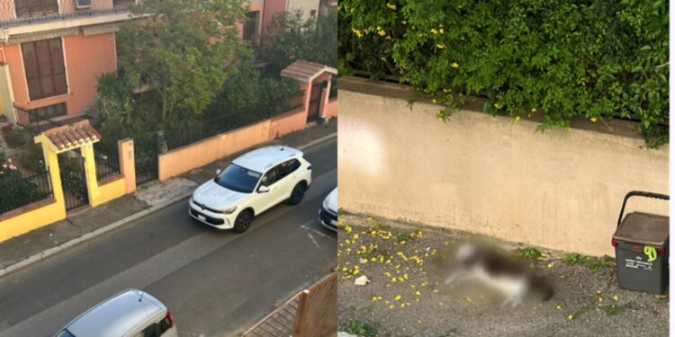 Pirri, corse sfrenate in via del Tricolore metteno in pericolo i residenti: “Un bambino ha rischiato di essere investito”