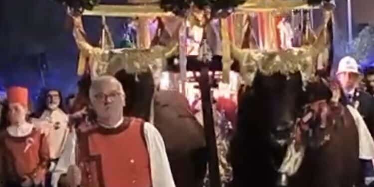 Monserrato, i buoi non potranno trainare il cocchio del Santo: la rabbia di Gianni Cabras