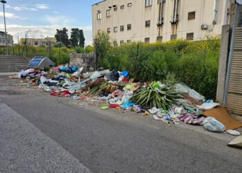 Disastro a Cagliari, cumuli di rifiuti in via del Lentisco a Pirri