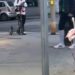 Cagliari, un fenicottero rosa passeggia fra la gente in via Palestrina (VIDEO)