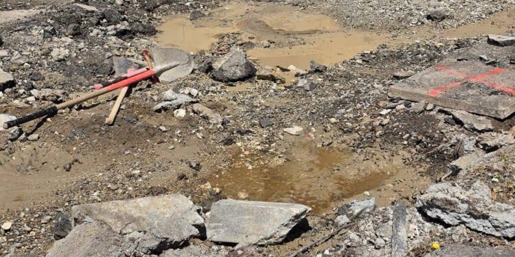 Monserrato in tilt, in via Cesare Cabras una radice di un pino spacca la condotta idrica: lavori al rallenty, Locci avvisa i cittadini