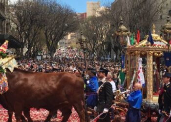Cagliari, a poche ore da Sant’Efisio resta il mistero: nessuna decisione sui buoi che trainano il cocchio