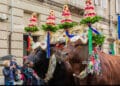 Sant’Efisio, il verdetto sui buoi in processione è previsto per oggi: attesa e polemiche