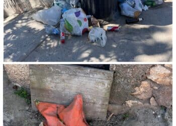 Calamosca dimenticata: “La spiaggia rappresenta uno dei principali biglietti da visita della città, non lasciamola nel degrado”