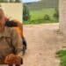 Sant’Isidoro: addio a Signor Onofrio, “uomo di altri tempi”