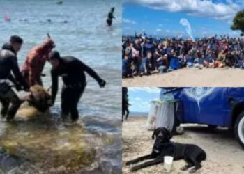 Staccionate, funi da pesca, un albero di Natale e un cestello di lavatrice: in mare a Quartu una discarica di rifiuti