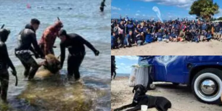 Staccionate, funi da pesca, un albero di Natale e un cestello di lavatrice: in mare a Quartu una discarica di rifiuti