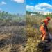 Maracalagonis, un incendio boschivo ha minacciato terreni e cortili di abitazioni