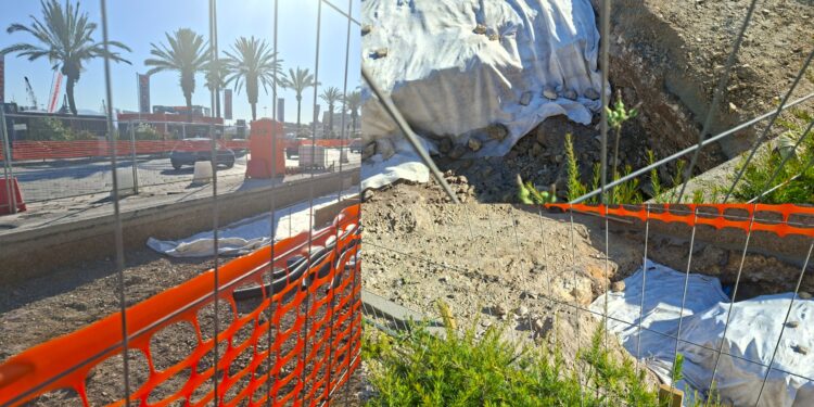Cagliari, le antiche rovine del porto fanno incetta di visitatori